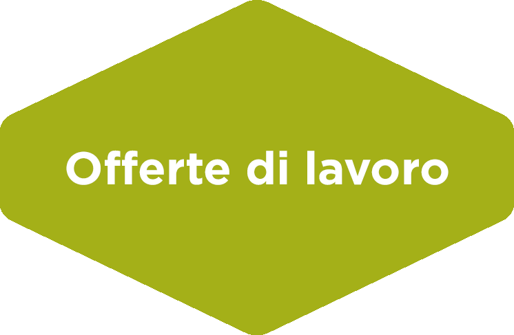Offerte di lavoro