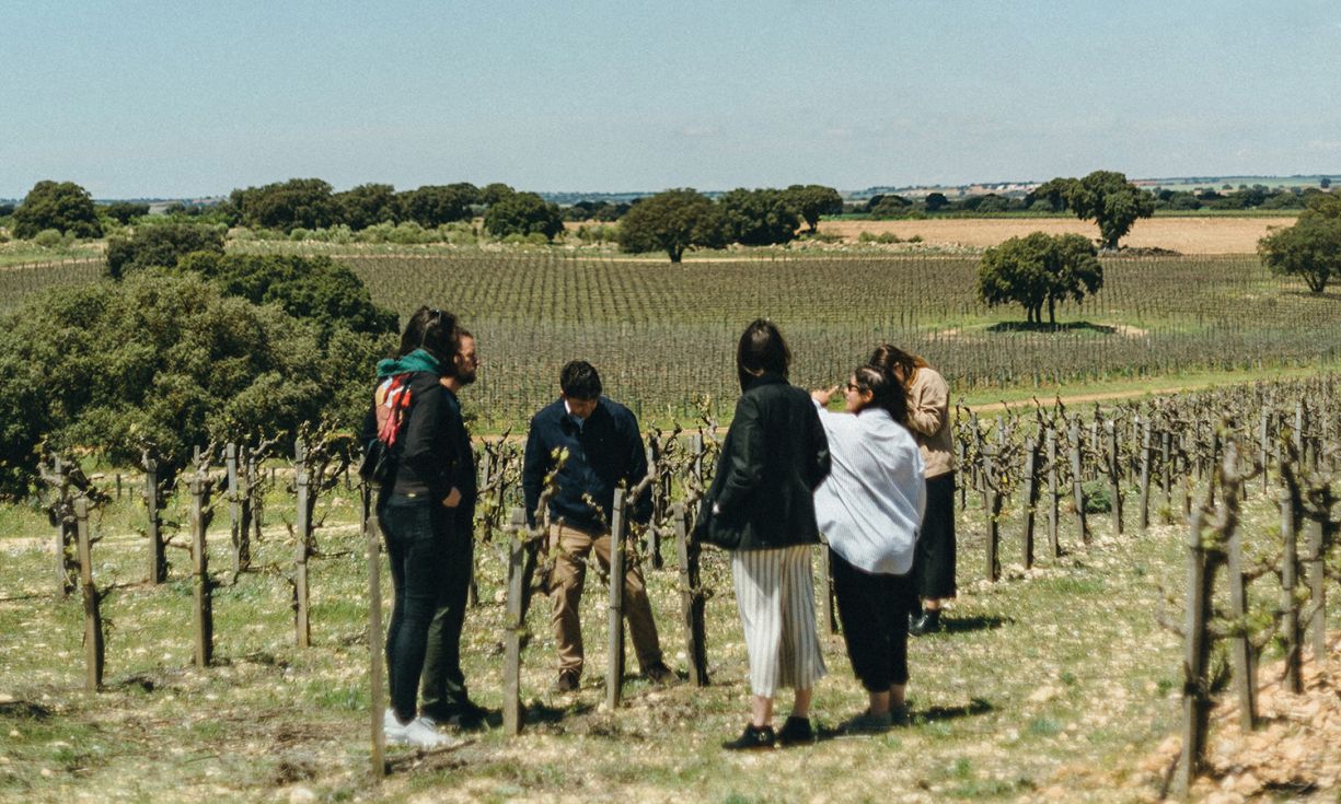 Wir stärken deine Stärken