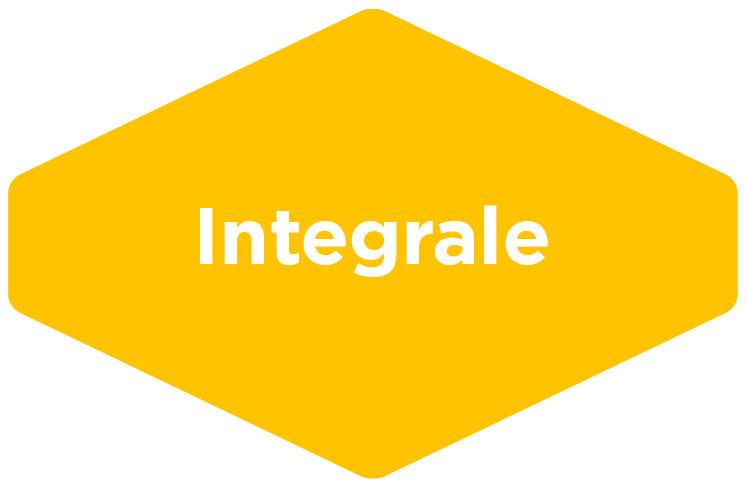 Integrale